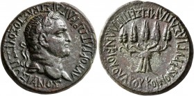 PHRYGIA. Apameia. Vespasian, 69-79. Diassarion (Bronze, 26 mm, 11.12 g, 12 h), Plancius Varus, legatus pro praetore. AYTOKPATΩP KAIΣAP ΣEBAΣTOΣ OYEΣΠΑ...