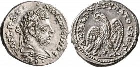SYRIA, Seleucis and Pieria. Laodicea ad Mare. Caracalla, 198-217. Tetradrachm (Silver, 27 mm, 13.12 g, 1 h), 209-211. •AYT•KAI• •ANTΩNЄINOC•CЄ• Laurea...