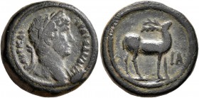 EGYPT. Alexandria. Hadrian, 117-138. Obol (Bronze, 18 mm, 5.21 g, 12 h), RY 11 = 126/7. ΑΥΤ ΚΑΙ ΤΡΑΙ ΑΔΡΙΑ СЄΒ Laureate head of Hadrian to right, with...