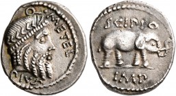 Q. Caecilius Metellus Pius Scipio, 47-46 BC. Denarius (Silver, 17 mm, 3.90 g, 6 h), Rome. Q. METEL PIVS Laureate head of Jupiter to right. Rev. SCIPIO...