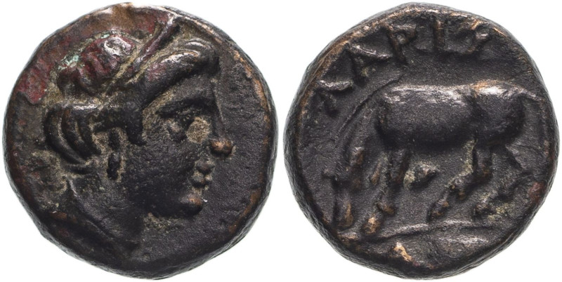 ANCIENT GREECE. THESSALY, LARISSA. 
Bronze ae12, circa 380-337 BC. 
Obv: head ...