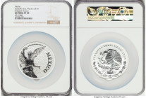 Estados Unidos silver Reverse Proof "Winged Victory" 5 Onzas 2022-Mo PR69 NGC, Mexico City mint, KM-Unl. #291/300. HID09801242017 © 2023 Heritage Auct...