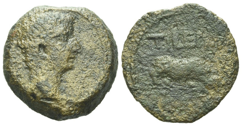 Egypt, Alexandria Tiberius, 14-37 Obol circa 18-19 (year 5), Æ 19.7mm., 6.09g.
...