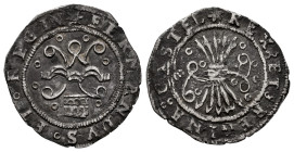 Catholic Kings (1474-1504). 1/2 real. Segovia. (Cal-243). Ag. 1,61 g. Star at the beginning of the legends. Roundels decorating the obverse and revers...