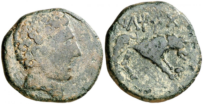 Iltirda (Lleida). As. (FAB. 1476) (ACIP. 1270). 8,07 g. BC+/MBC.