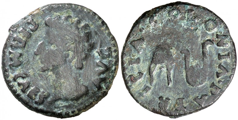 Colonia Patricia (Córdoba). Octavio Augusto. Semis. (FAB. 1992) (ACIP. 3358). 4,...
