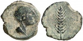 Searo (Utrera). Semis. (FAB. 2115) (ACIP. 2424). 4,96 g. Pátina verde. Escasa. MBC+.