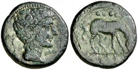 Cese (Tarragona). Triente. (FAB. 2323) (ACIP. 1132). 4,54 g. Escasa. MBC-.