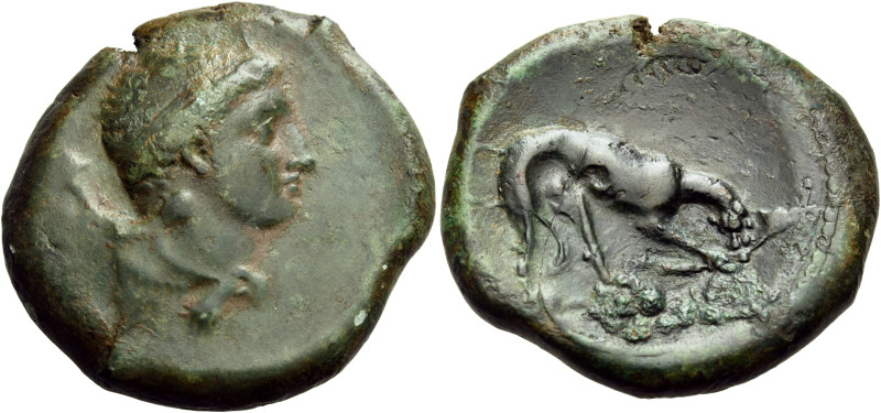 SICILY. Agyrion. 344-339/8 BC. Dilitron (Bronze, 29 mm, 16.46 g, 12 h). Head of ...