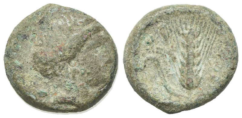 Southern Lucania, Metapontion, c. 300-250 BC. Æ (16.5mm, 4.16g, 6h). Wreathed he...