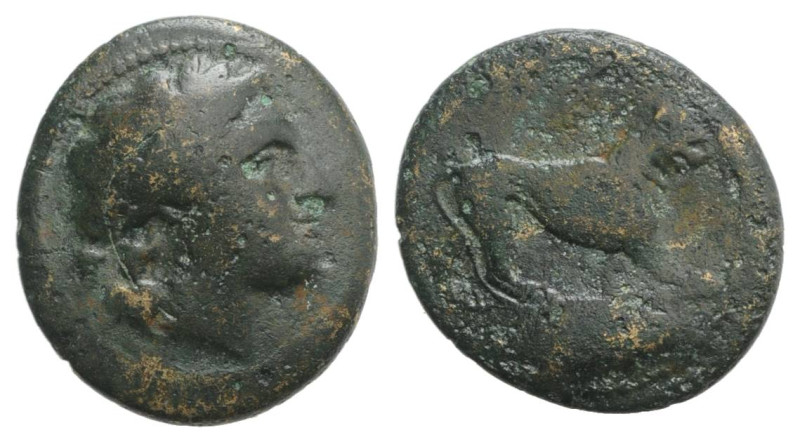 Bruttium, Rhegion, c. 260-215 BC. Æ (17mm, 3.33g, 6h). Head of Apollo r.; cornuc...