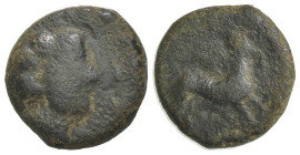 Sicily, Segesta, c. 390-380 BC. Æ (15mm, 4.48g, 7h). Head of Aigiste r. R/ Hound leaping r. CNS I, 48; SNG ANS -; HGC 2, 1200. Good Fine