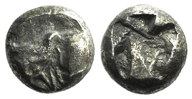 Ionia, Uncertain, c. 5th century BC. AR Tetartemorion (6mm, 0.20g). Head and nec...