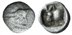 Caria, Uncertain, c. 5th century BC. AR Tetartemorion (5mm, 0.13g, 9h). Confronted foreparts of bull. R/ Forepart of bull l., within incuse square. Cf...