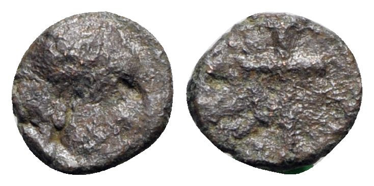 Vandals. Hilderic (523-530). Æ (8mm, 0.44g). Diademed, draped and cuirassed bust...