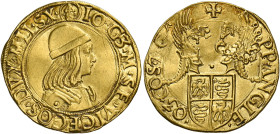 Milano. Gian Galeazzo Maria Sforza, 1476-1494. 
Doppio ducato, AV 6,97 g. IO · G3 · M · SF · VICECOS · DVX · MLI · SX · Busto corazzato con berretto ...