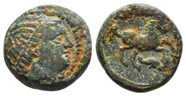Greek Coins. 4th - 1st century B.C. AE

Reference:

Condition: Very Fine

Weight =4.3 gr
Heıght =14.0 mm