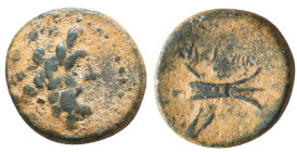 Greek Coins. 4th - 1st century B.C. AE

Reference:

Condition: Very Fine

Weight =2.8 gr
Heıght =14.7 mm
