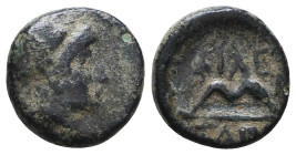 Greek Coins. 4th - 1st century B.C. AE

Reference:

Condition: Very Fine

Weight =1.7 gr
Heıght =11.8 mm