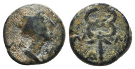 Greek Coins. 4th - 1st century B.C. AE

Reference:

Condition: Very Fine

Weight =2.3 gr
Heıght =10.9 mm