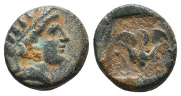 Greek Coins. 4th - 1st century B.C. AE

Reference:

Condition: Very Fine

Weight =1.6 gr
Heıght =11.1 mm