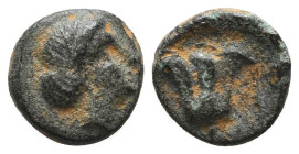 Greek Coins. 4th - 1st century B.C. AE

Reference:

Condition: Very Fine

Weight =1.2 gr
Heıght =9.1 mm