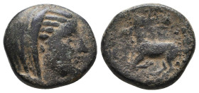 Greek Coins. 4th - 1st century B.C. AE

Reference:

Condition: Very Fine

Weight =3.8 gr
Heıght =14.9 mm