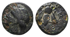Greek Coins. 4th - 1st century B.C. AE

Reference:

Condition: Very Fine

Weight =1.4 gr
Heıght =9.3 mm