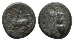Greek Coins. 4th - 1st century B.C. AE

Reference:

Condition: Very Fine

Weight =1.3 gr
Heıght =9.1 mm