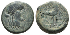 Greek Coins. 4th - 1st century B.C. AE

Reference:

Condition: Very Fine

Weight =6.4 gr
Heıght =17.7 mm