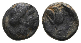 Greek Coins. 4th - 1st century B.C. AE

Reference:

Condition: Very Fine

Weight =1.4 gr
Heıght =8.5 mm