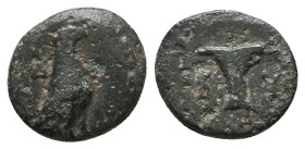 Greek Coins. 4th - 1st century B.C. AE

Reference:

Condition: Very Fine

Weight = 1.2 gr
Heıght =10.2 mm