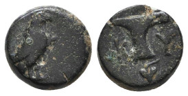Greek Coins. 4th - 1st century B.C. AE

Reference:

Condition: Very Fine

Weight =1.7 gr
Heıght =9.1 mm