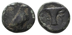 Greek Coins. 4th - 1st century B.C. AE

Reference:

Condition: Very Fine

Weight =1.4 gr
Heıght =9.5 mm