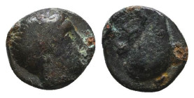 Greek Coins. 4th - 1st century B.C. AE

Reference:

Condition: Very Fine

Weight =0.6 gr
Heıght =9.3 mm