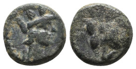 Greek Coins. 4th - 1st century B.C. AE

Reference:

Condition: Very Fine

Weight =2.3 gr
Heıght =10.6 mm