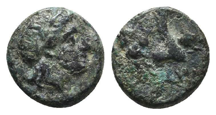 Greek Coins. 4th - 1st century B.C. AE

Reference:

Condition: Very Fine

...