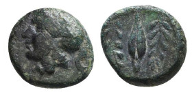 Greek Coins. 4th - 1st century B.C. AE

Reference:

Condition: Very Fine

Weight =0.8 gr
Heıght =7.9 mm