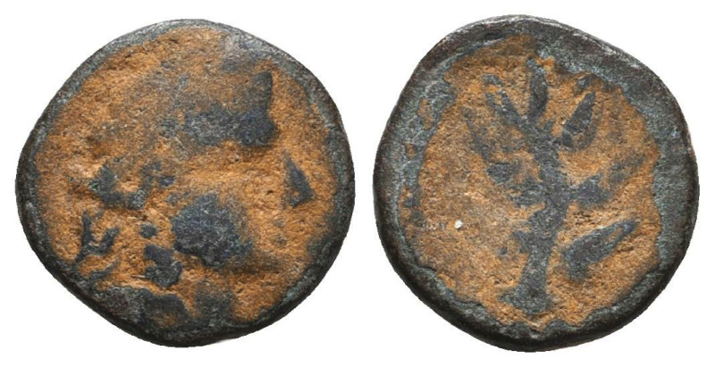 Greek Coins. 4th - 1st century B.C. AE

Reference:

Condition: Very Fine

...