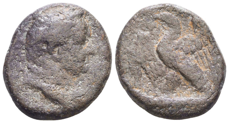 Roman Provincial Coins, Circa, 1st - 4th Century.

Reference:

Condition: Ve...