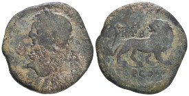 Roman Provincial Coins, Circa, 1st - 4th Century.

Reference:

Condition: Very Fine

Weight =13.5 gr
Heıght =31.6 mm