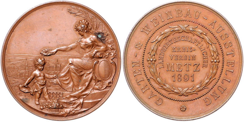 Frankreich-Metz, Stadt. 
Bronzemedaille 1891 (unsign.) auf die Garten- und Wein...