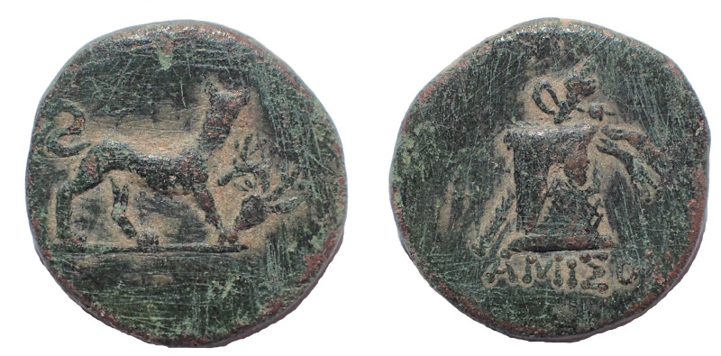 Pontos, Amisos. Circa 100-95 BC. Æ 18 mm. 3.88 gm. Obv: Panther standing right, ...