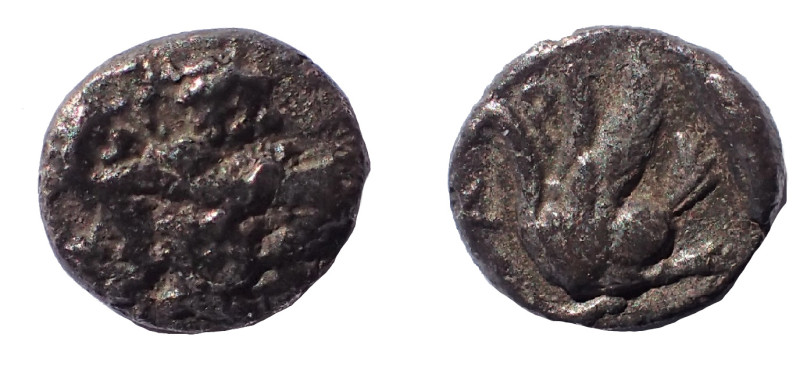 Cilicia, Mallos c. 425-385, AR Obol, 8 mm. 0.5 gm. Obv: Winged male figure advan...