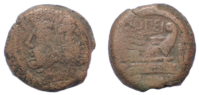 Q. Opimius. 169-158 BC. Æ As 32 mm. 23.9 gm. OPEI series. Rome mint. Obv: Laurea...