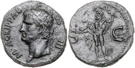 RÖMISCHES REICH, Agrippa, 27-12 v.Chr., posthum unter Caligula, 37-41, AE As, Rom. Büste mit Krone aus Rostren l., M AGRIPPA L F COS III. Rs.Neptun l....