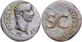 RÖMISCHES REICH, Tiberius als Caesar, 4-14, AE As IMP V =8-10, Rom. Kopf r. Rs.SC. 10,93g.
dez., ss
Sear 562; RIC 469