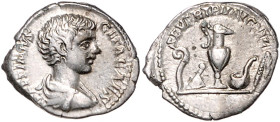 RÖMISCHES REICH, Geta als Caesar, 198-209, AR Denar (198-200), Rom. Drap. Büste r. Rs.Priestergeräte: Lituus, Krug, Messer, Simpulum, Sprinkler, SEVER...