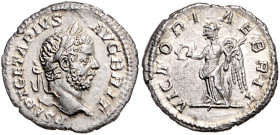 RÖMISCHES REICH, Geta, 209-212, AR Denar (210-211), Rom. Belorb. Büste r. Rs.Victoria mit Kranz und Palme. 2,62g.
ss-vz
RIC 92; Seaby 220