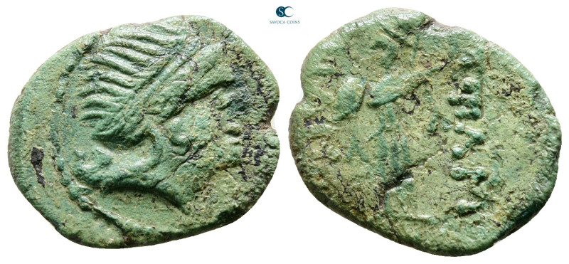 Thrace. Mesembria circa 175-100 BC. 
Bronze Æ

21 mm, 3,63 g



Nearly Ve...